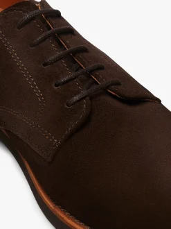Buck Derby Dark Brown Suede